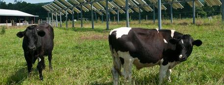 Solar Power on Dairy Farms - Solar Potential in Rutland, Vermont